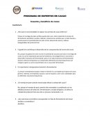 Programa de expertos en cacao