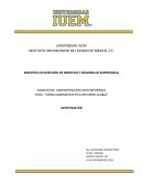 Como administrar en el entorno global