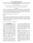 Cobre, un Mineral por descubrir