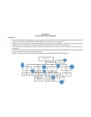 Estructura organizacional y organigrama