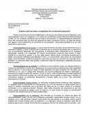 Analisis de bases conceptuales de la enfermeria