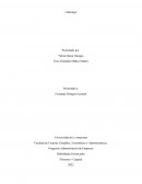 Programa Administración de Empresas Habilidades Gerenciales