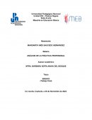 Análisis de la práctica profesional docente