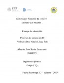 Ensayo Absorción