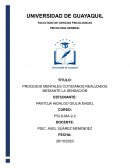 Procesos mentales cotidianos realizados mediante la sensación