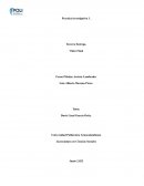 Propuesta pedagógica. Juguemos a Aprender