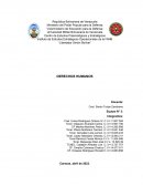 Evolución de los Derechos Humanos