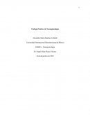 Trabajo Práctico de Neuropsicología