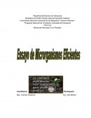 Microorganismos eficientes