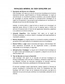 Análisis general de Odin Developer SAC