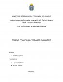 Trabajo práctico integrador evaluativo