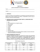 Práctica hemoclasificación