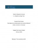 Sub-etapas de la fundamentación de la carrera profesional