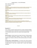 Examen parcial – Ética profesional