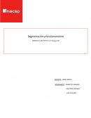 Segmentación y Posicionamiento