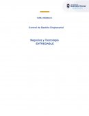 Control de Gestión Empresarial. Negocios y Tecnología