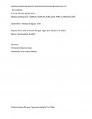 Reporte de la visita al museo del agua “agua para siempre” en Chilac