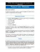 Diseño curricular, programación y desarrollo de competencias