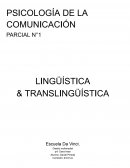 Lingüística & translingüística