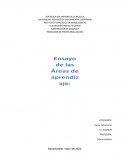 Elementos más importantes de la acción pedagógica