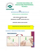 Importancia del metabolismo celular