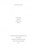 Plan de negocio Sanva