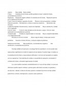 Baja calidad. Buena calidad