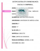 Carpeta de Evidencias Tratamientos faciales