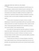 Comentario critico del torito de la piel dorada. La Amnesia