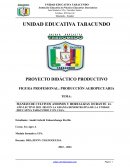 Manejo de cultivos andinos y hortalizas