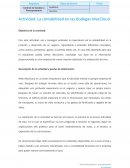 Actividad: La contabilidad en las Bodegas MacCloud