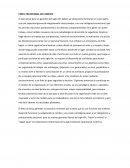 Perfil profesional del gerente