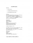 Encefalitis Equina