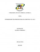 Enfermedades transmitidas por los alimentos y el agua