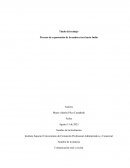 Proceso de exportación de la madera teca hacia India