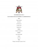 Ventajas y desventajas de operar en FOREX