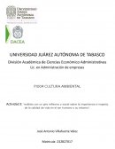 Análisis con un giro reflexivo y social sobre la importancia e impacto de la calidad de vida en el ser humano y su entorno