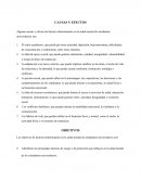 Causas y consecuencias en la salud mental