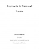 Exportación de flores en el Ecuador