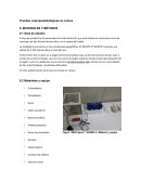 Pruebas coproparasitológicas en ovinos