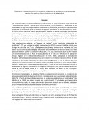 Explorando la dimensión social de la resolución colaborativa de problemas en estudiantes de segundo año medio en Chile en la asignatura de Matemática