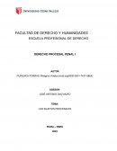 Los sujetos procesales