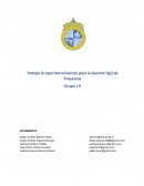 Trabajo Grupal Herramientas para la Gestión Ágil de Proyectos