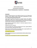 Tipos de programación, transporte y transbordo