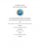 Informe de laboratorio molienda y análisis de mallas del mineral calcopirita