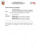 Informe Técnico de las Acciones realizadas en el cumplimiento de las labores del Proyecto de implementación del Sistema de Medidas de Control y Remediación