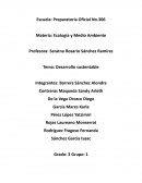 Proyecto ecología . Desarrollo sustentable