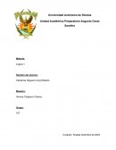 El Papel de la Tecnología en la Educación del Siglo XXI