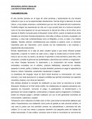 Secuencia artes visuales Las esculturas móviles