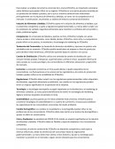 Entorno comercial de la marca Donofrio